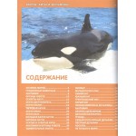 Акулы, киты и дельфины. Детская энциклопедия